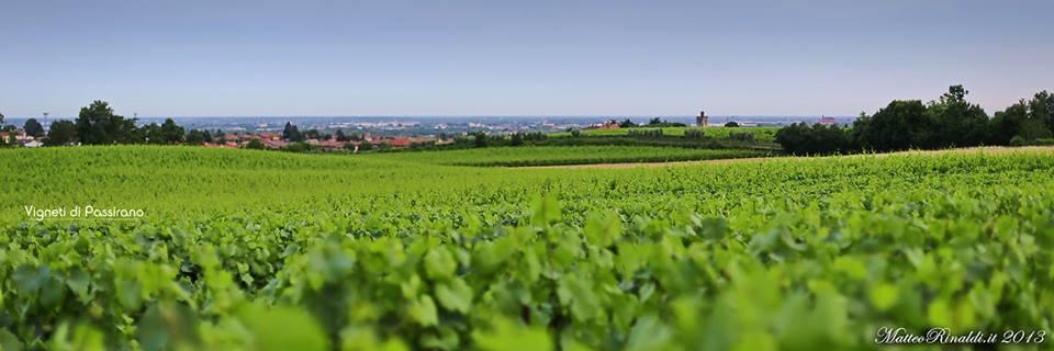 Wine & Lake In Franciacorta Passirano Екстериор снимка