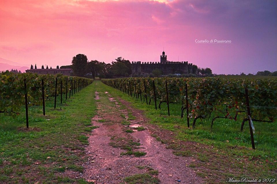 Wine & Lake In Franciacorta Passirano Екстериор снимка